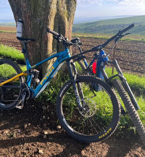 WhatsApp Image 2024-12-18 at 13.29.28_587fc884