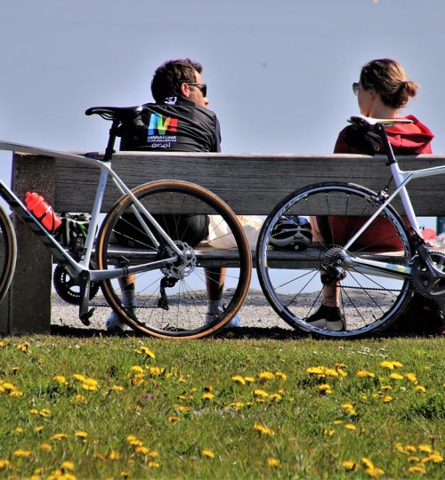 couple, bench, bike-5014283.jpg